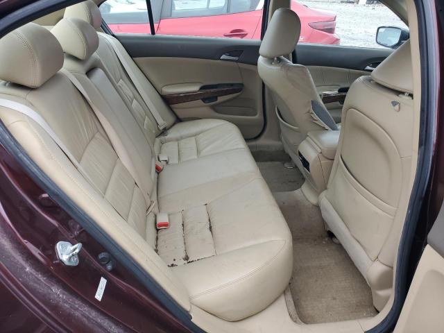 Photo 9 VIN: 5KBCP3F86AB018319 - HONDA ACCORD EXL 