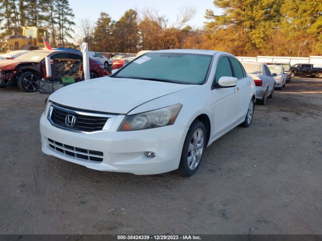 Photo 1 VIN: 5KBCP3F87AB003392 - HONDA ACCORD 