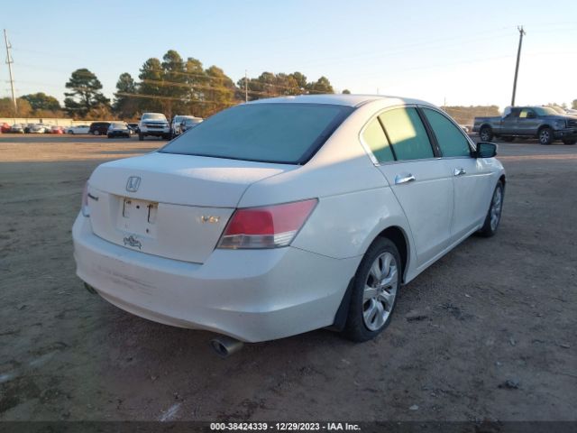 Photo 3 VIN: 5KBCP3F87AB003392 - HONDA ACCORD 