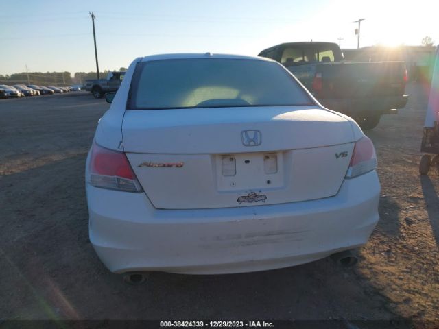 Photo 5 VIN: 5KBCP3F87AB003392 - HONDA ACCORD 