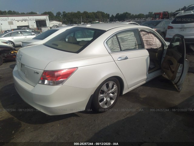 Photo 3 VIN: 5KBCP3F87AB005269 - HONDA ACCORD SDN 