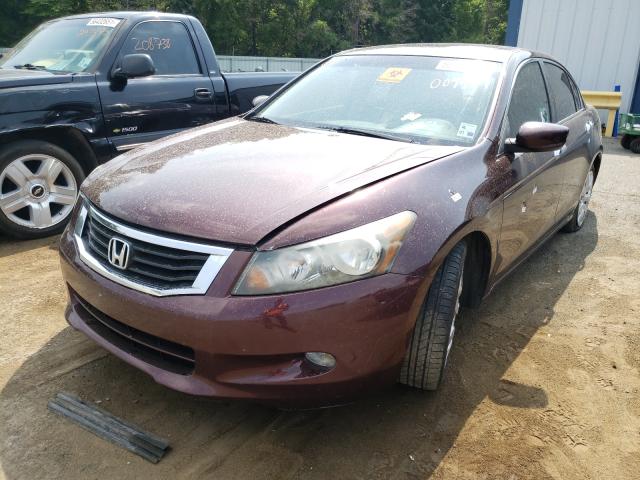 Photo 1 VIN: 5KBCP3F87AB009497 - HONDA ACCORD EXL 