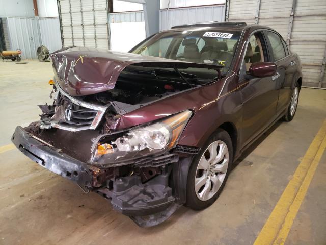 Photo 1 VIN: 5KBCP3F87AB011279 - HONDA ACCORD EXL 