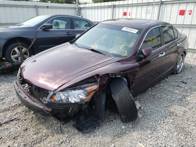 Photo 1 VIN: 5KBCP3F87AB011931 - HONDA ACCORD EXL 