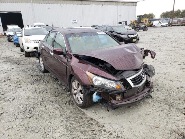 Photo 3 VIN: 5KBCP3F87AB013226 - HONDA ACCORD EXL 