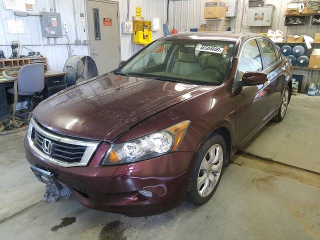 Photo 1 VIN: 5KBCP3F87AB015199 - HONDA ACCORD EXL 