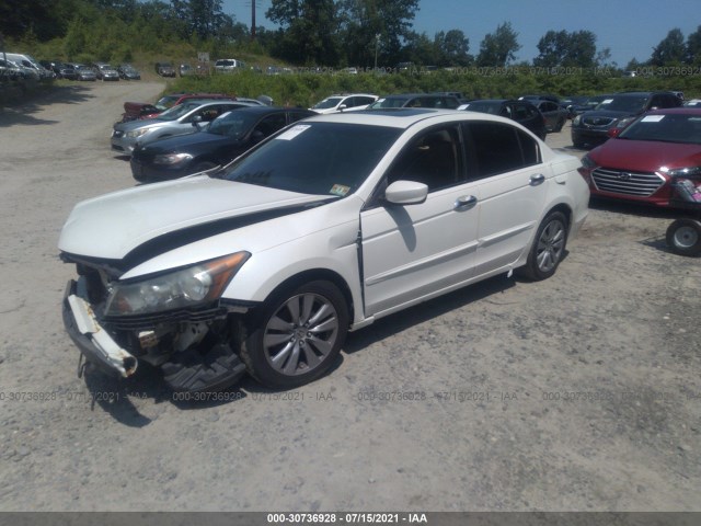 Photo 1 VIN: 5KBCP3F87BB002602 - HONDA ACCORD SDN 