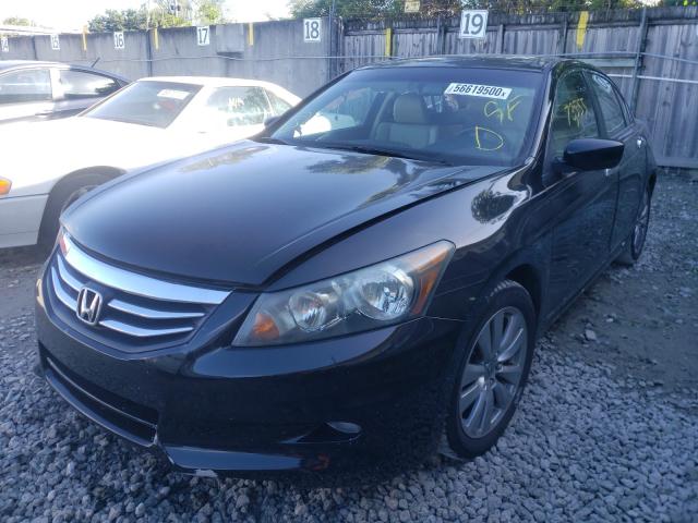 Photo 1 VIN: 5KBCP3F87BB003071 - HONDA ACCORD EXL 