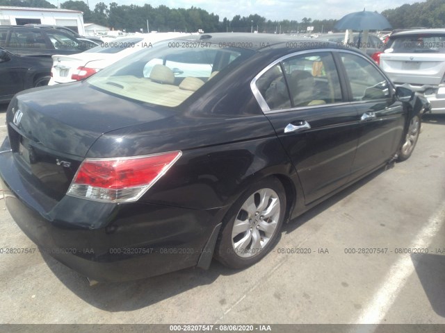 Photo 3 VIN: 5KBCP3F88AB001442 - HONDA ACCORD SDN 