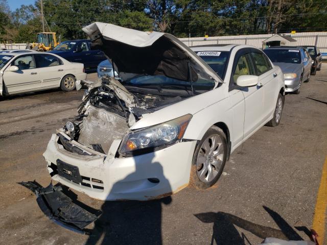 Photo 1 VIN: 5KBCP3F88AB005653 - HONDA ACCORD EXL 