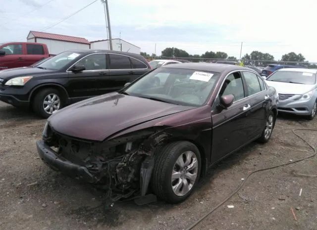 Photo 1 VIN: 5KBCP3F88AB010982 - HONDA ACCORD 