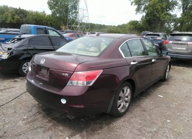 Photo 3 VIN: 5KBCP3F88AB010982 - HONDA ACCORD 