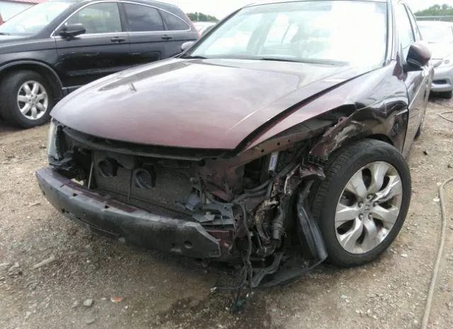 Photo 5 VIN: 5KBCP3F88AB010982 - HONDA ACCORD 