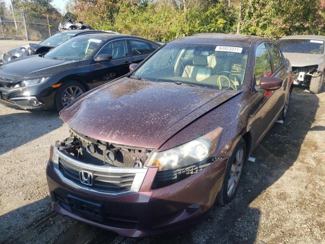 Photo 1 VIN: 5KBCP3F88AB013266 - HONDA ACCORD EXL 