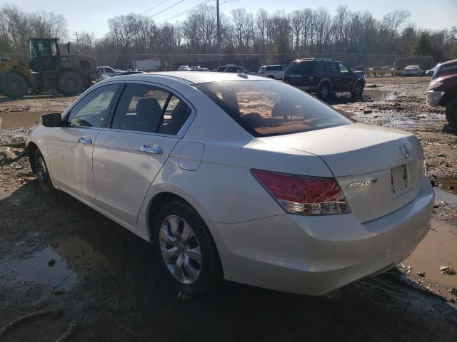 Photo 1 VIN: 5KBCP3F88AB013350 - HONDA ACCORD EXL 