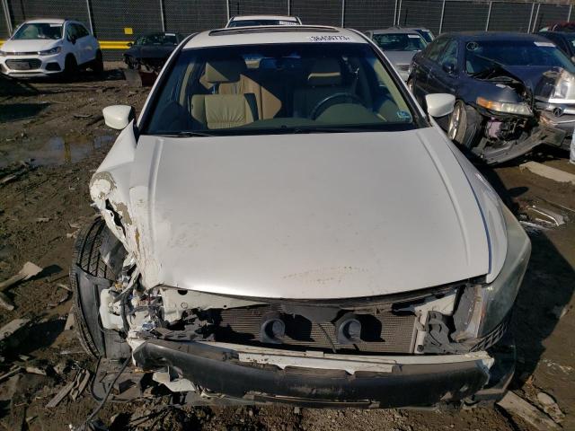 Photo 4 VIN: 5KBCP3F88AB013350 - HONDA ACCORD EXL 