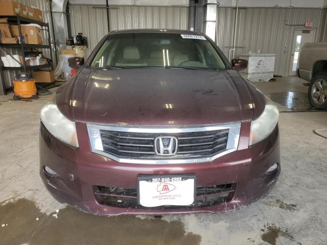 Photo 4 VIN: 5KBCP3F88AB013509 - HONDA ACCORD EXL 