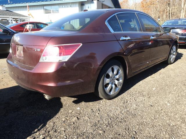 Photo 3 VIN: 5KBCP3F88AB016054 - HONDA ACCORD EXL 