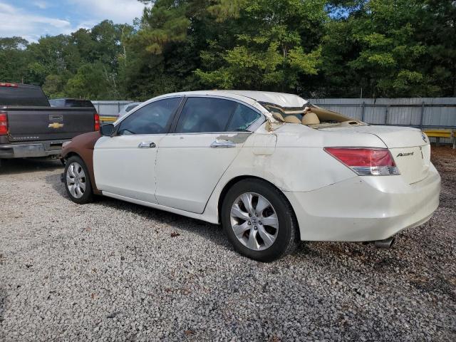 Photo 1 VIN: 5KBCP3F88AB018760 - HONDA ACCORD EXL 