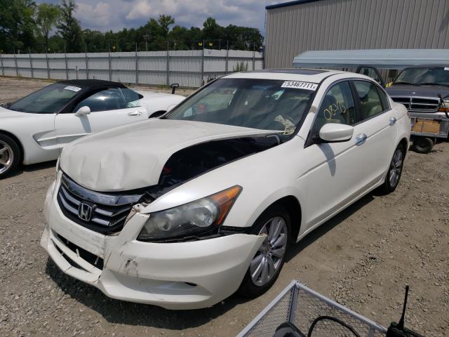 Photo 1 VIN: 5KBCP3F88BB003791 - HONDA ACCORD EXL 