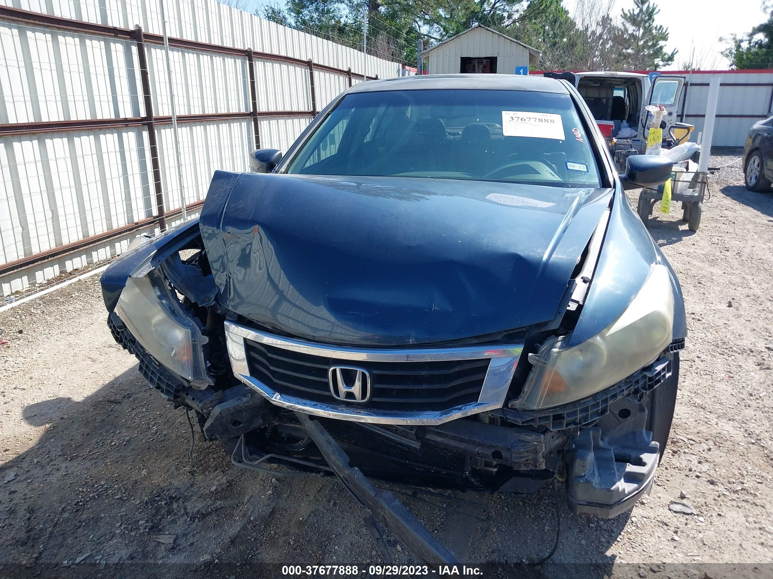 Photo 12 VIN: 5KBCP3F89AB008156 - HONDA ACCORD 