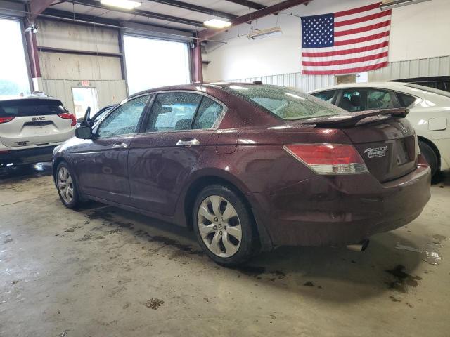 Photo 1 VIN: 5KBCP3F89AB013261 - HONDA ACCORD 