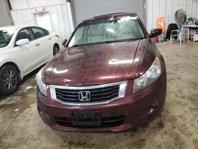 Photo 4 VIN: 5KBCP3F89AB013261 - HONDA ACCORD 