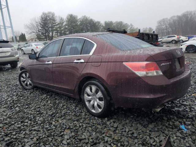 Photo 1 VIN: 5KBCP3F89AB017004 - HONDA ACCORD EXL 