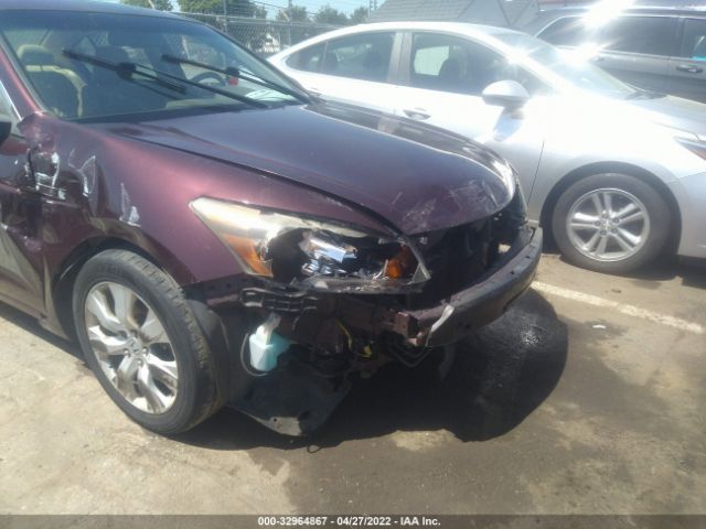 Photo 5 VIN: 5KBCP3F89AB018007 - HONDA ACCORD SDN 