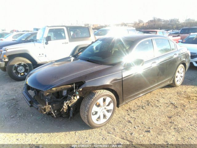 Photo 1 VIN: 5KBCP3F8XAB002785 - HONDA ACCORD SDN 