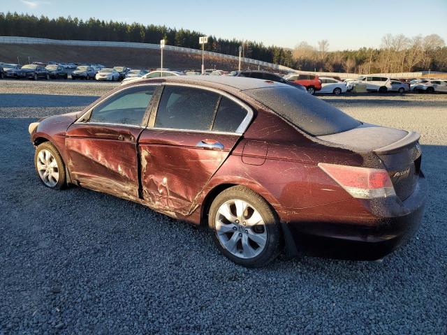 Photo 1 VIN: 5KBCP3F8XAB007453 - HONDA ACCORD 