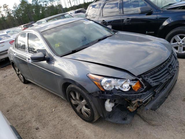 Photo 0 VIN: 5KBCP3F8XAB008893 - HONDA ACCORD EXL 