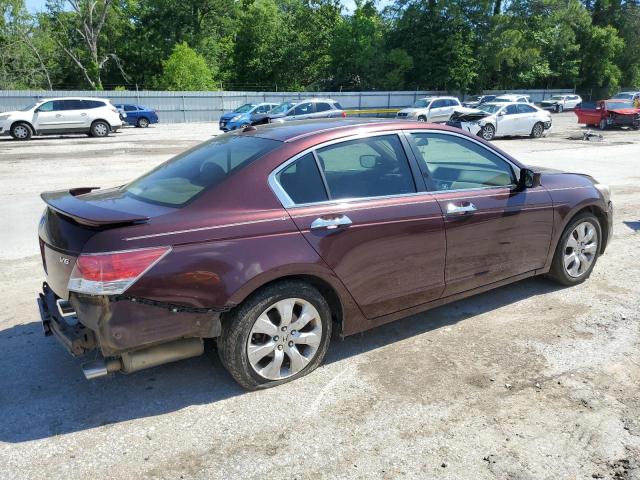 Photo 2 VIN: 5KBCP3F8XAB009512 - HONDA ACCORD EXL 