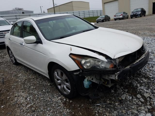 Photo 0 VIN: 5KBCP3F8XAB013656 - HONDA ACCORD EXL 