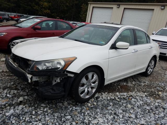 Photo 1 VIN: 5KBCP3F8XAB013656 - HONDA ACCORD EXL 