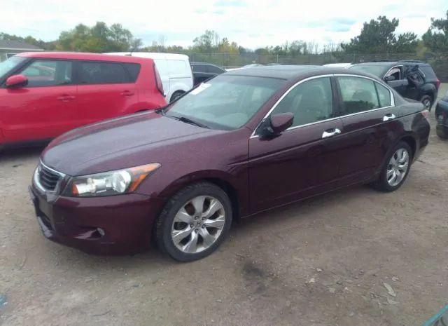 Photo 1 VIN: 5KBCP3F8XAB015438 - HONDA ACCORD 