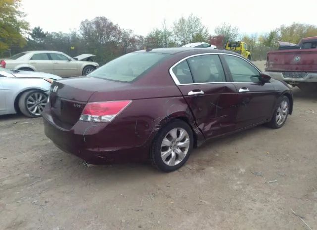 Photo 3 VIN: 5KBCP3F8XAB015438 - HONDA ACCORD 