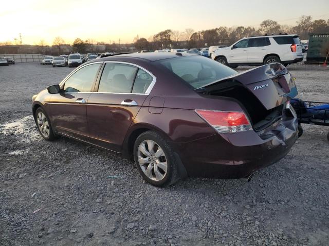 Photo 1 VIN: 5KBCP3F8XAB015987 - HONDA ACCORD EXL 