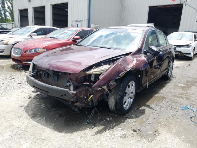 Photo 1 VIN: 5KBCP3F8XAB016170 - HONDA ACCORD EXL 