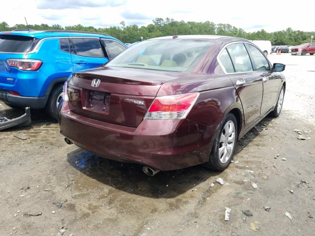 Photo 3 VIN: 5KBCP3F8XAB016170 - HONDA ACCORD EXL 