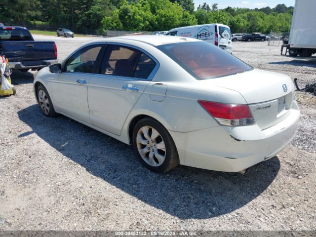 Photo 2 VIN: 5KBCP3F8XAB016606 - HONDA ACCORD 