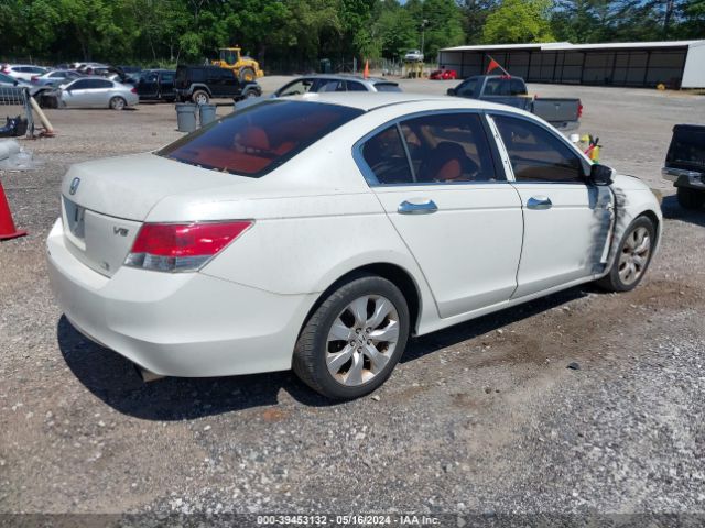 Photo 3 VIN: 5KBCP3F8XAB016606 - HONDA ACCORD 