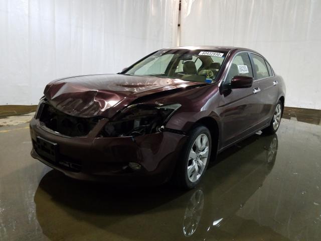 Photo 1 VIN: 5KBCP3F8XAB017769 - HONDA ACCORD EXL 