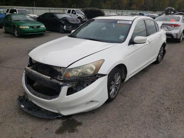 Photo 1 VIN: 5KBCP3F8XBB001847 - HONDA ACCORD 