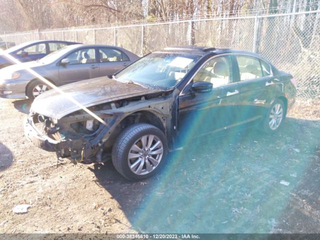 Photo 1 VIN: 5KBCP3F8XBB002349 - HONDA ACCORD 