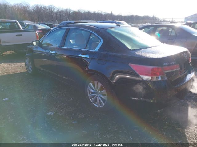 Photo 2 VIN: 5KBCP3F8XBB002349 - HONDA ACCORD 