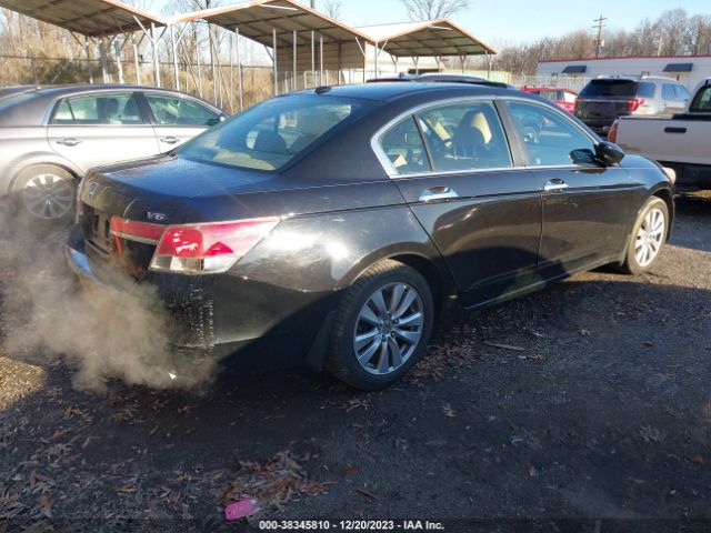 Photo 3 VIN: 5KBCP3F8XBB002349 - HONDA ACCORD 