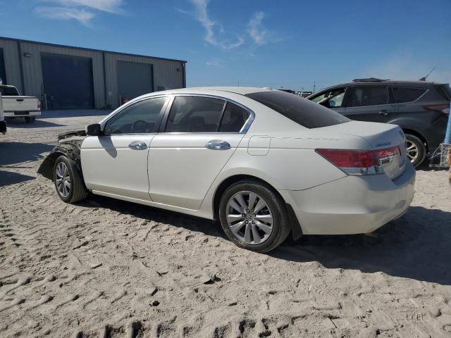 Photo 1 VIN: 5KBCP3F8XBB002982 - HONDA ACCORD EXL 