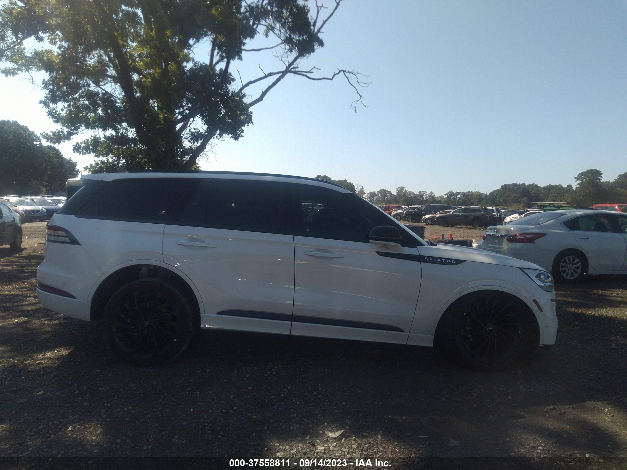 Photo 12 VIN: 5LM5J9XC4PGL08399 - LINCOLN AVIATOR 