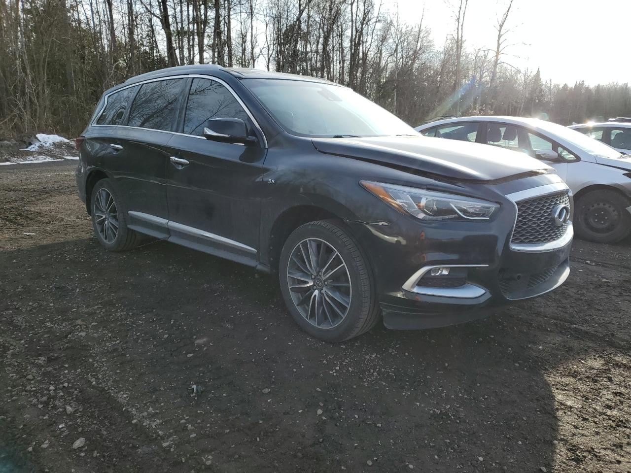 Photo 3 VIN: 5N1AL0MMXGC514967 - INFINITI QX60 